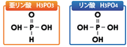 亜リン酸とリン酸の分子構造