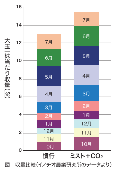 ミスト＋CO2施用区が収量が増えます。