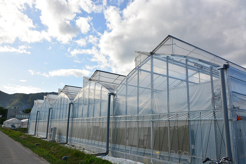 ドリームフィールド外観