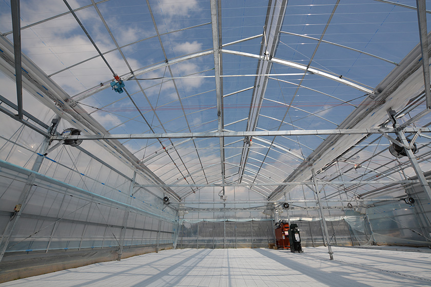 ドリームフィールド内観