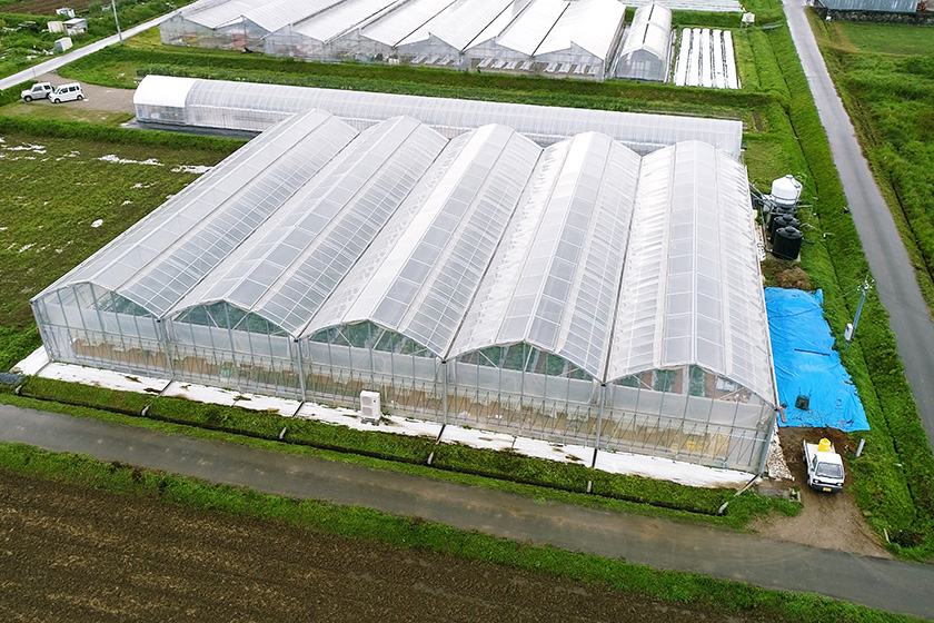 ドリームフィールド空撮