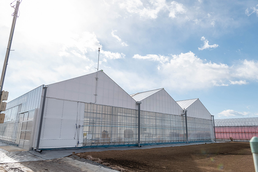 屋根型ハウス外観