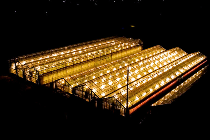 屋根型ハウス空撮